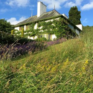 South West corner and meadow