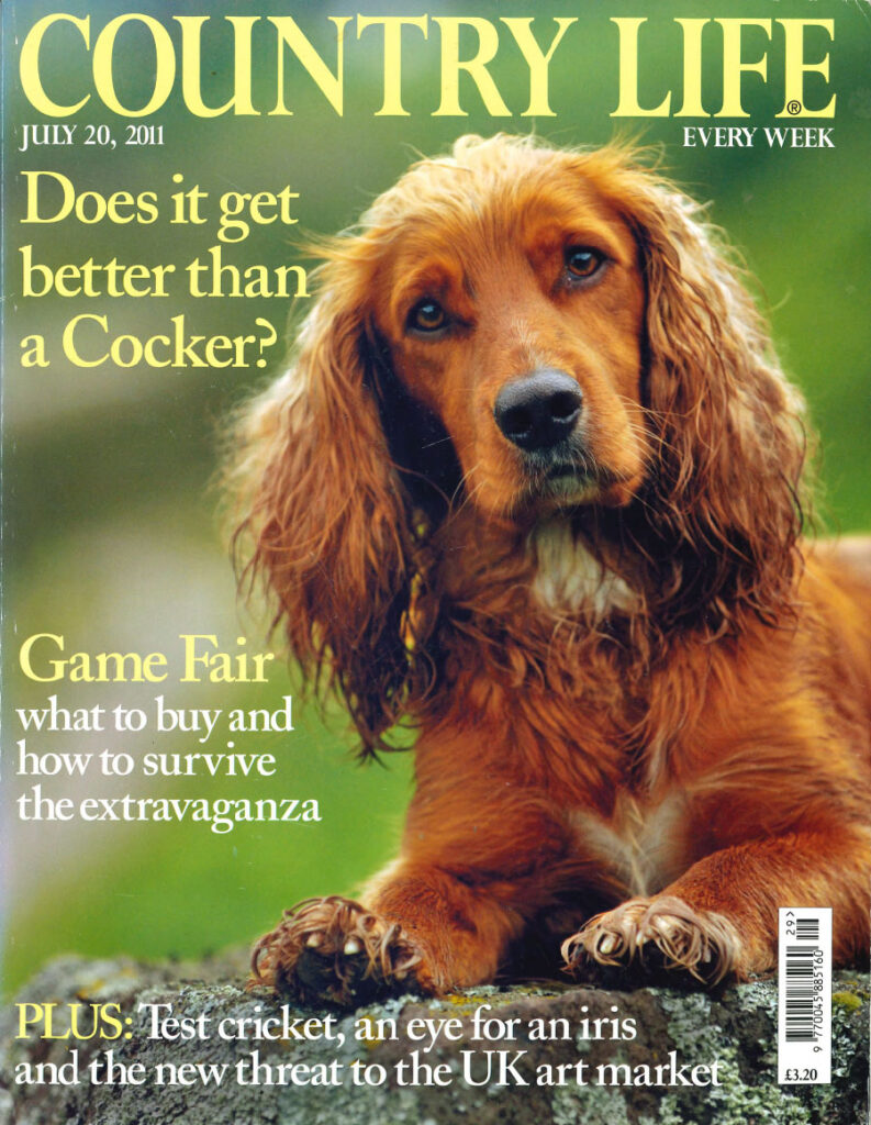Country Life, July 20 2011