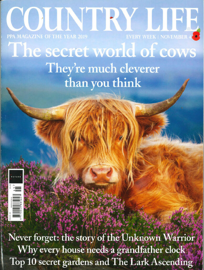 Country Life, Nov 4 2019