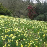 spring at perrycroft