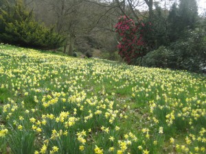 spring at perrycroft